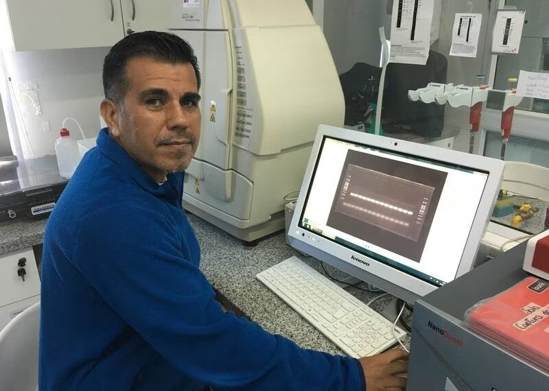 La pasión de un científico por descubrir las enfermedades del salmón chileno